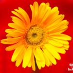 GKPHOTOGRAPHY(2)