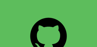 package registry serviceயை git hub தொடங்கியுள்ளது