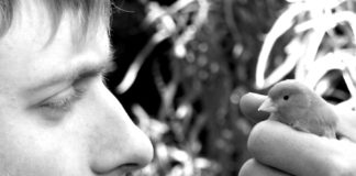 காயங்கள்