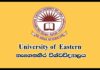 Management Assistant, Technical Officer, Public Health Inspector, Nursing Officer, Translator, Audit Assistant, Tractor Operator, Welder – Eastern University *Closing Date: 2019-08-09*