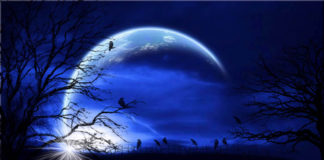 வான்நிலா…