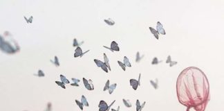 நாங்கள் அறிந்த அவர்கள்….