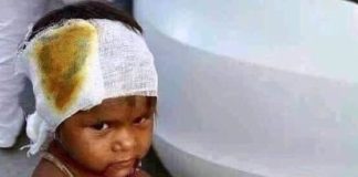 சின்னஞ்சிறு சிட்டு