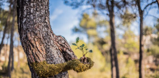 ஏன் நடுக்கம் புவிமகளே!