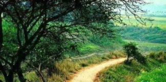 நாங்களும் வாகனம் ஓடினாங்கதான்….