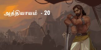 சிங்கை நகரத்து சிம்மாசனம் − அத்தியாயம் 20