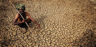 விவசாயி