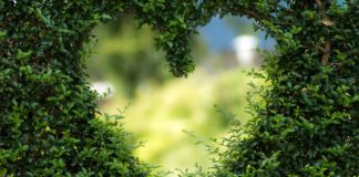 அன்பு என்றுமே அனாதையில்லை!