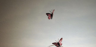 மென்டல் ப்ரேக் – Mental Outbreak