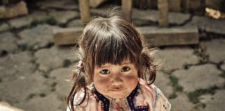 ஈர நெஞ்சில் ஓர் விதை…