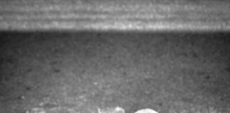 சோற்று பருக்கை photo-1541482492732-6fef23322336