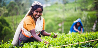 கனவுகளில் வாழ்பவள்