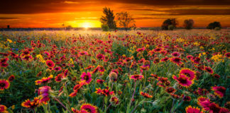 விழிதிறந்து பார்! 8738690601_b7c5f95db8_b