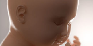 “மலடியின் தாலாட்டு”