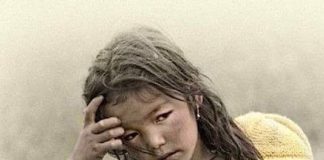 உயிர்காக்கும் புனிதங்கள் ccf8d6ac9ef16543d0c0198335d33178