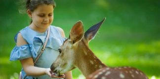 நிச்சயமாய் ஒரு மீட்சி