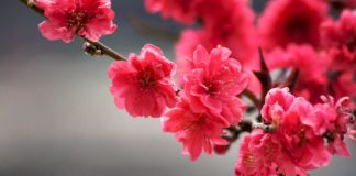 அழகான விடியல்