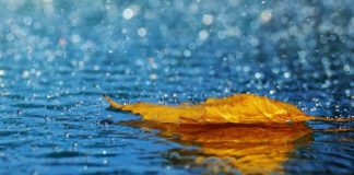 வா மழையே 1 (1)