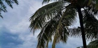 யாவும் கற்பனையே FB_IMG_1595488426771