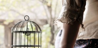 விழித்தெழு விடியலே…