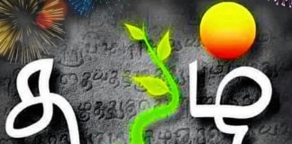 எல்லாமும் ஆகிறாய் நீயே main-qimg-2d3af8ee7896b36683d896cce3ea8218-1