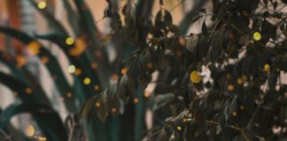 அன்பு அநாதை இல்லைங்க