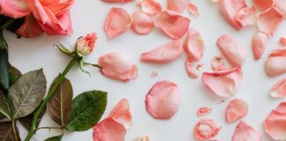 என் வாழ்க்கை