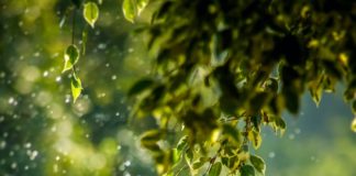 ஒரு ஏழையின் குரல் photo-1518173946687-a4c8892bbd9f