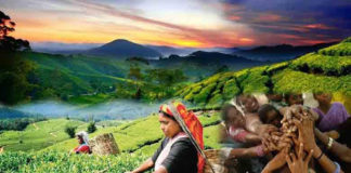 தாயின் சபதம் unnamed