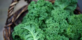 கீரைகளின் அரசி : பரட்டைக்கீரை