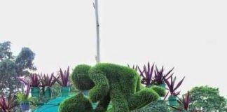 உயிர்ச்சிற்பத்தோட்டக்கலை (Topiary)