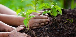 மானிடம் காக்கும் இயற்கை