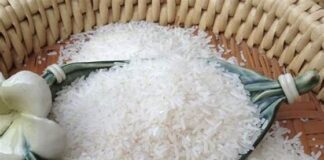 மல்லிகை அரிசி