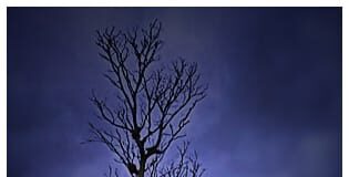 அன்பின் ஏக்கம் IMG-20201203-WA0185-33c7e6fd