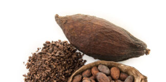கொக்கோ – Cocoa Tree