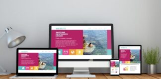 Website Designing & Website Development courses