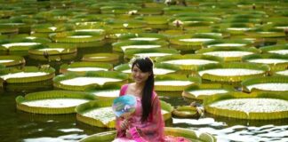 அல்லி ராணி