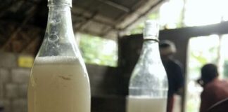 அரைப்போத்தல் கள்ளு vikatan_2020-05_a23e2e71-5dfc-4c6d-bc67-ef220d6a3c3f_Toddy_Bottle_and_Glass-e959fcff