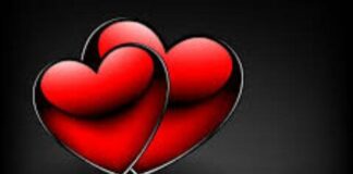 நானும் காதலிக்கிறேன் 22ec54e139c1484ca737e99f409867ca-cf7cd44b