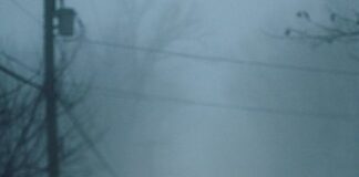 இலட்சியதுக்கான தேடல் F6087EBB-4CFB-49BA-B614-5C3697FCE6F5-60ca075e