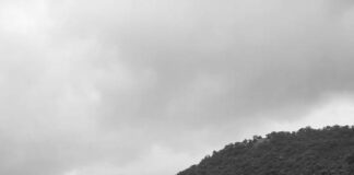 அனுபவ கற்கை crop-3c4ffcc8