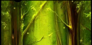 பச்சையுலகம் IMG_20210305_151923-49a575c4