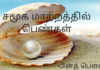 சமூக மாற்றத்தில் பெண்கள் IMG_20210308_131150-4a04f65a