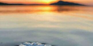 உன்னால் மாத்திமே உன்னை திருத்தமுடியும் inbound5607302274963950390-9f7d2823