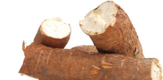 மரவள்ளி