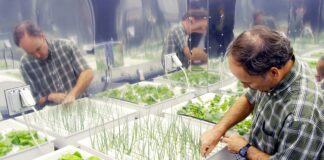 நீரியல் வளர்ப்பு