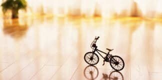 புஷ்பக விமானம் 3261181-f1ff7e2f