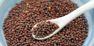 கடுகு- Mustard