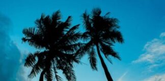 ” தோட்டம் “