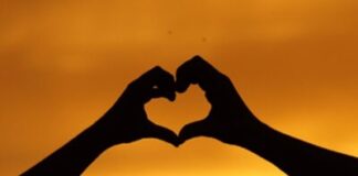 ” இதயத்தின் ஓசை “